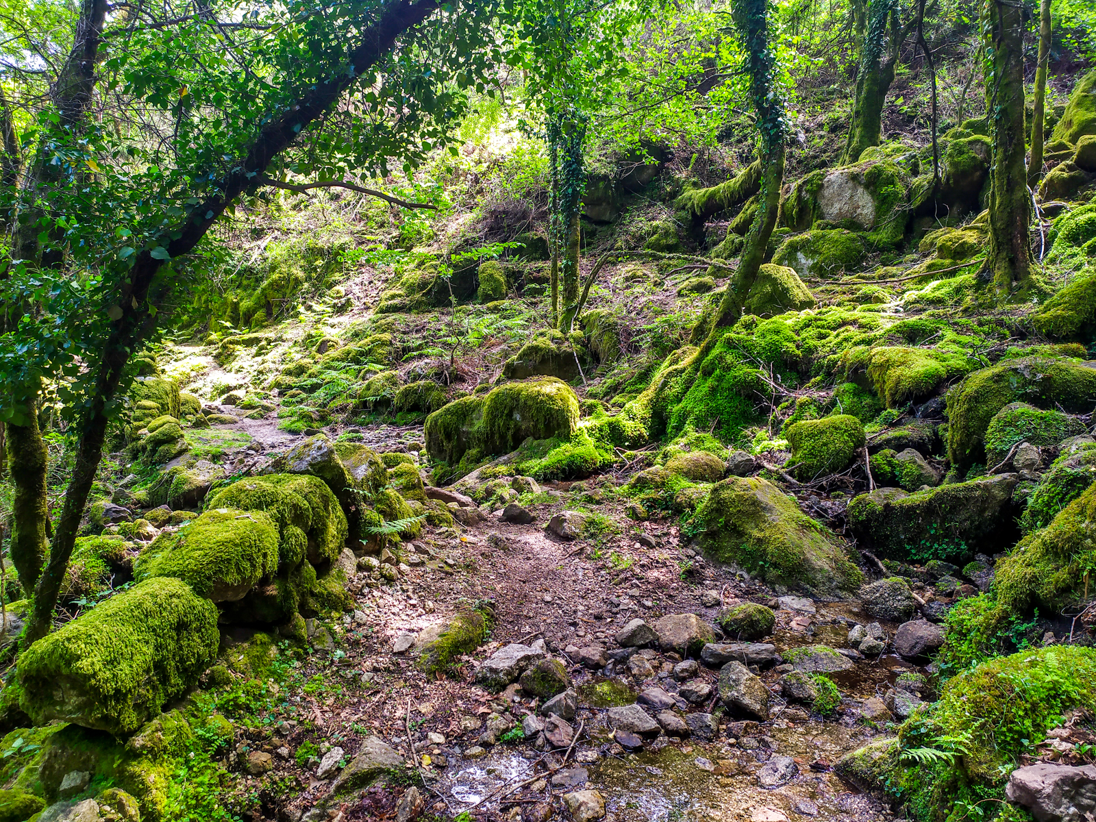Trilho até à Lagoa dos Druidas