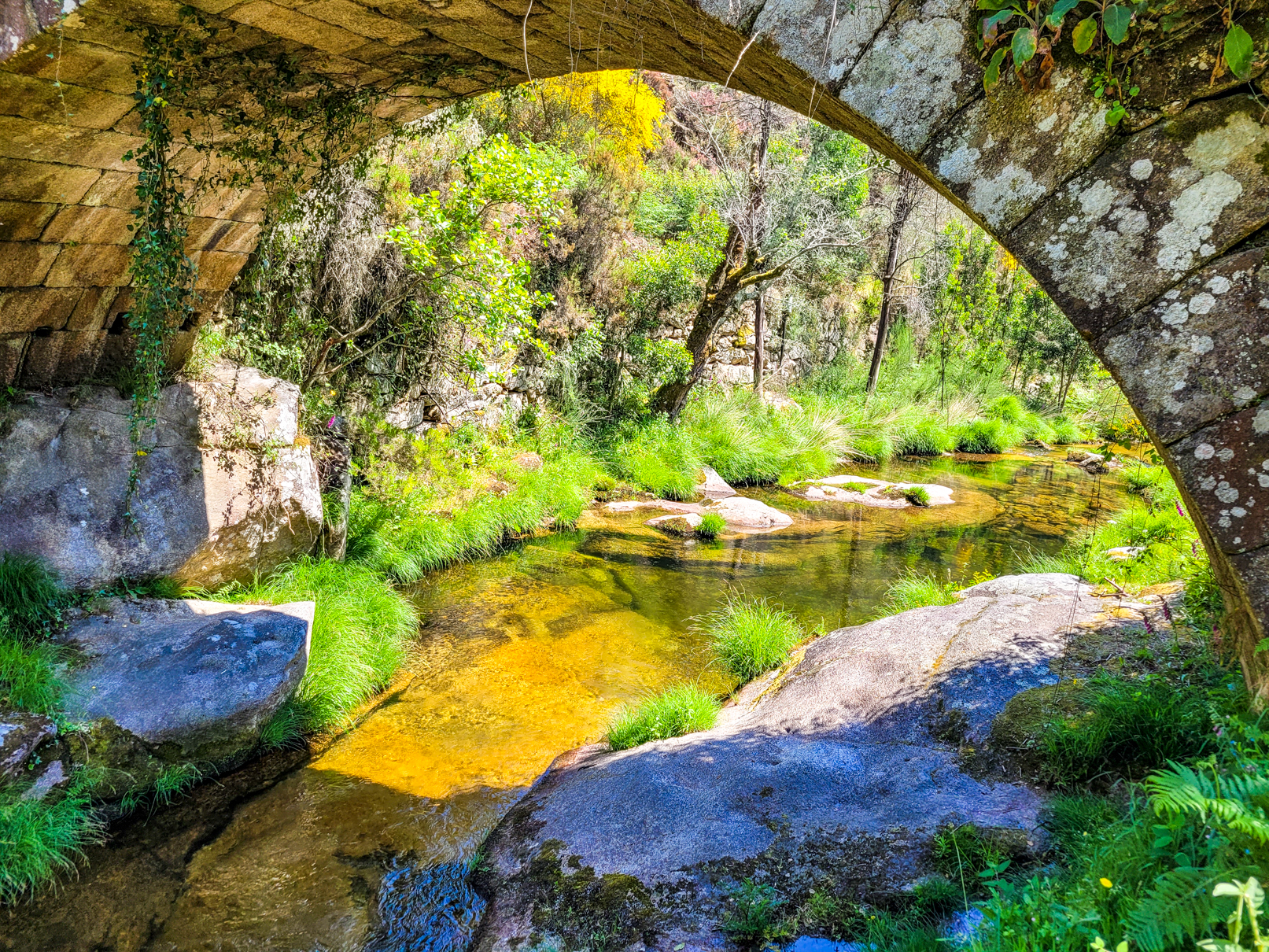 Ermelo Lagoons and Medieval Bridge