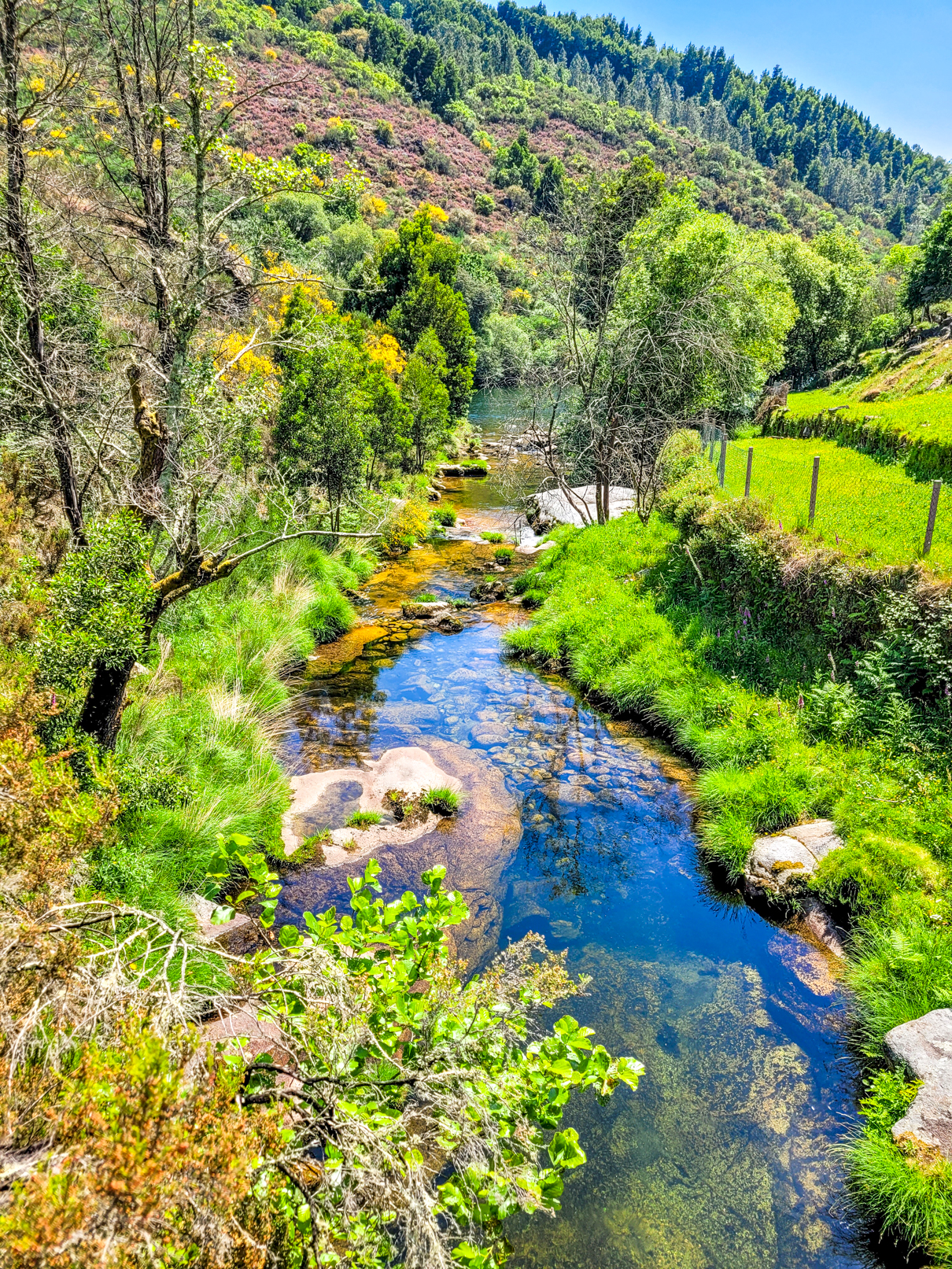 Lagoas de Ermelo