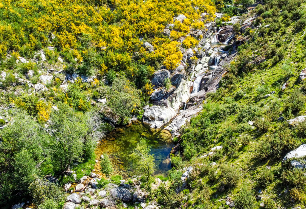 Lagoas de Travanca