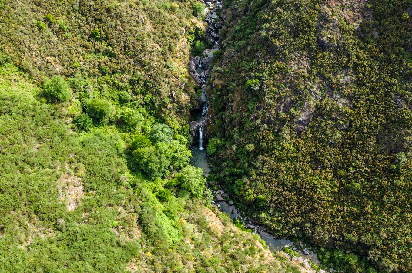 Poço da Baraceira