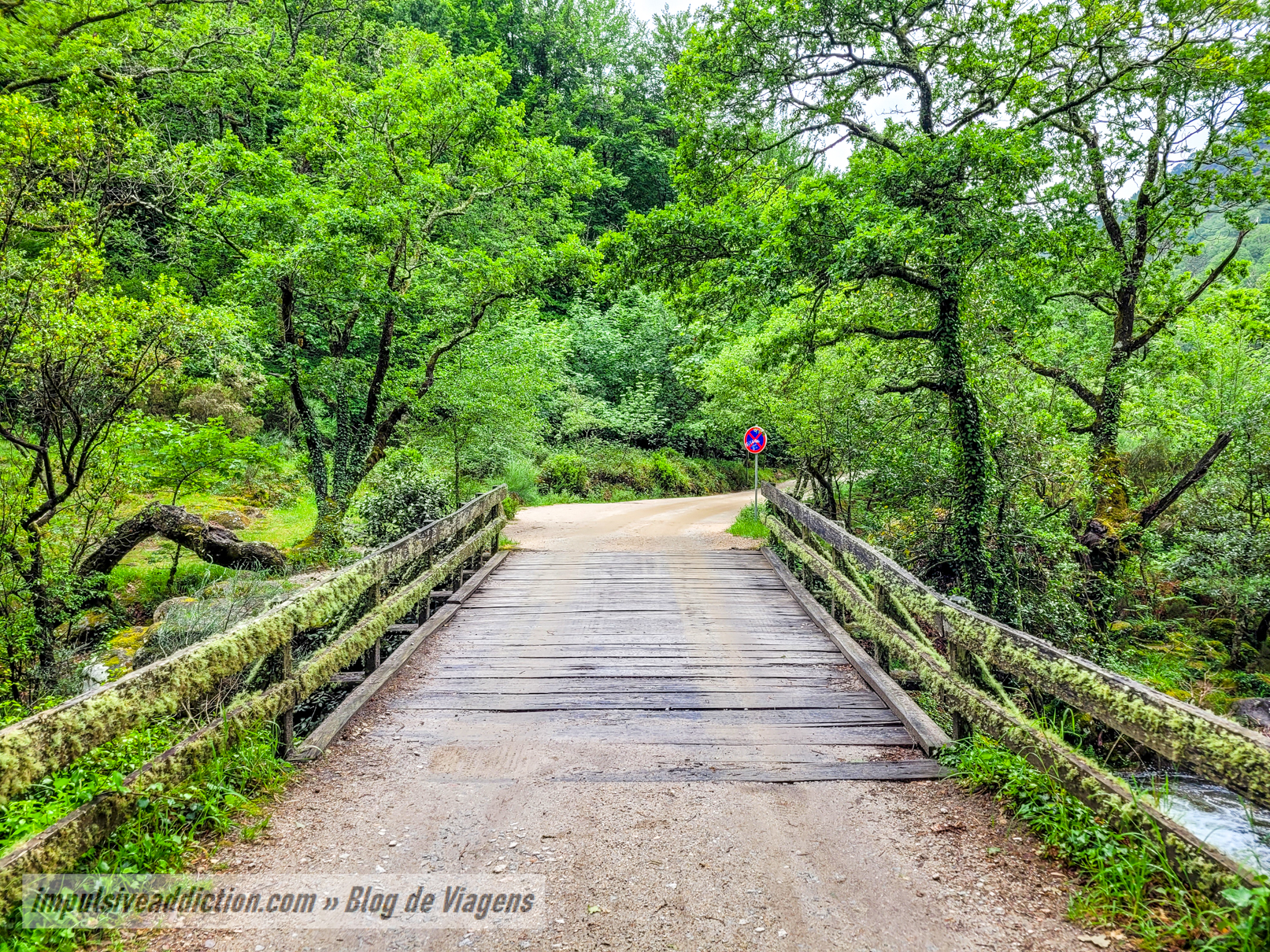 Ponte 5 do Trilho da Mata de Albergaria