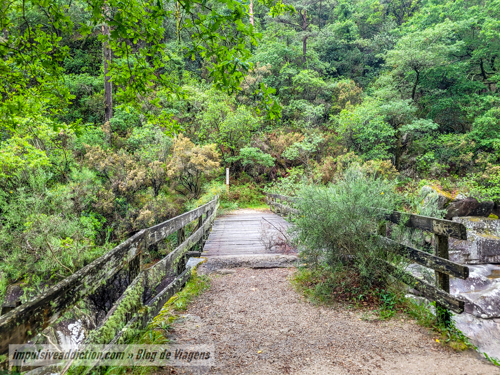 Ponte de Palheiros ao visitar a Mata de Albergaria