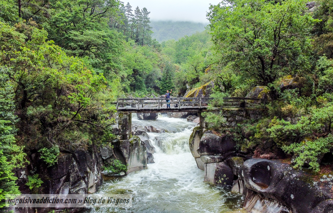 Ponte de Palheiros ao visitar a Mata de Albergaria