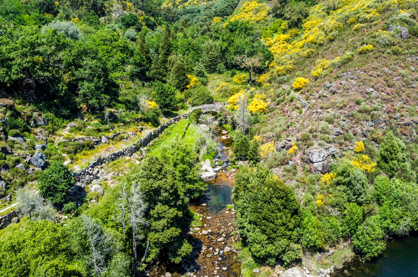 Ponte medieval e Lagoas do Ermelo