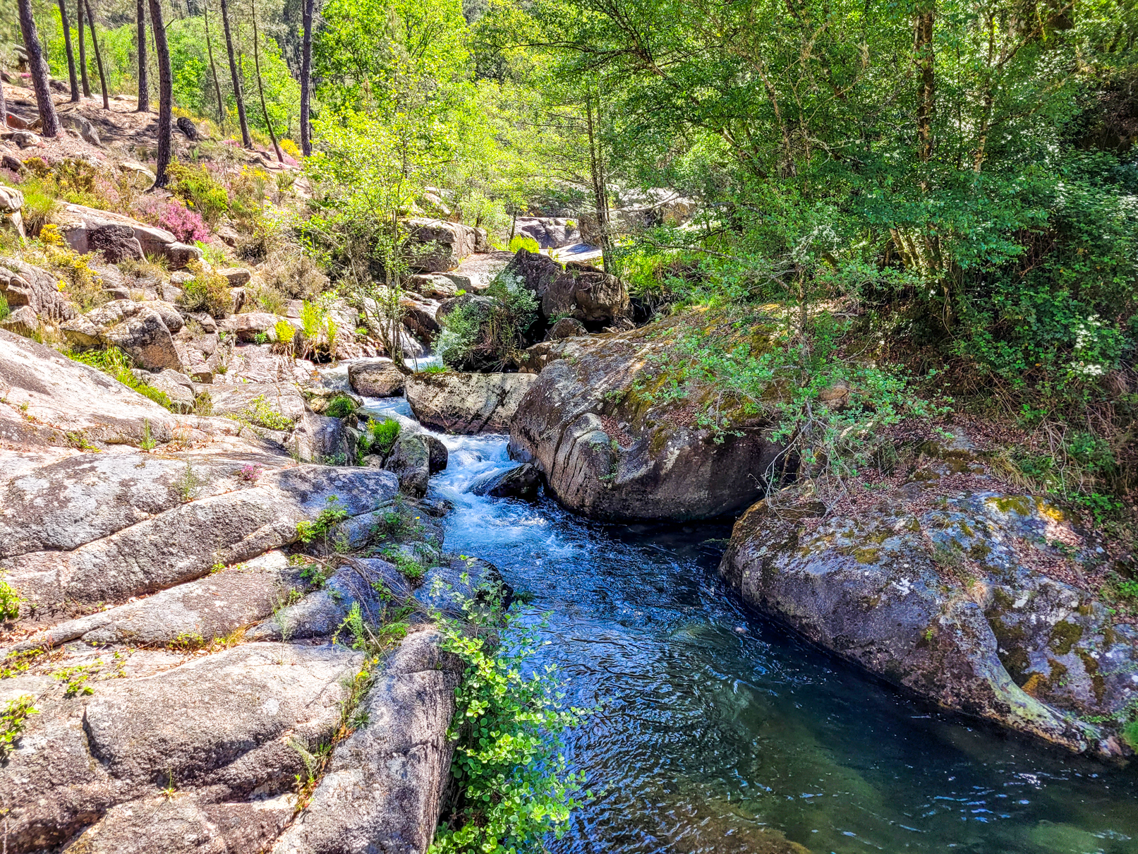 Pozas dos Cirolos | Parque Natural da Baixa Limia