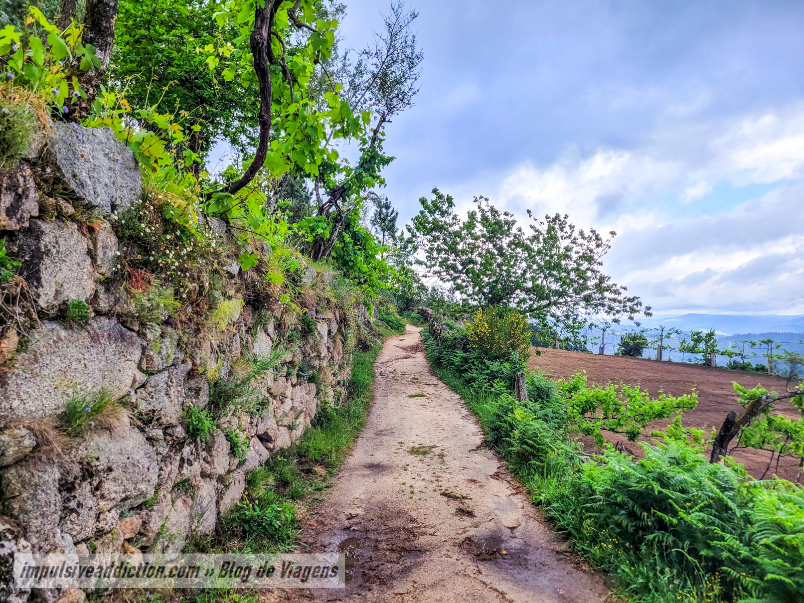 Caminhos do Trilho da Cascata da Rajada