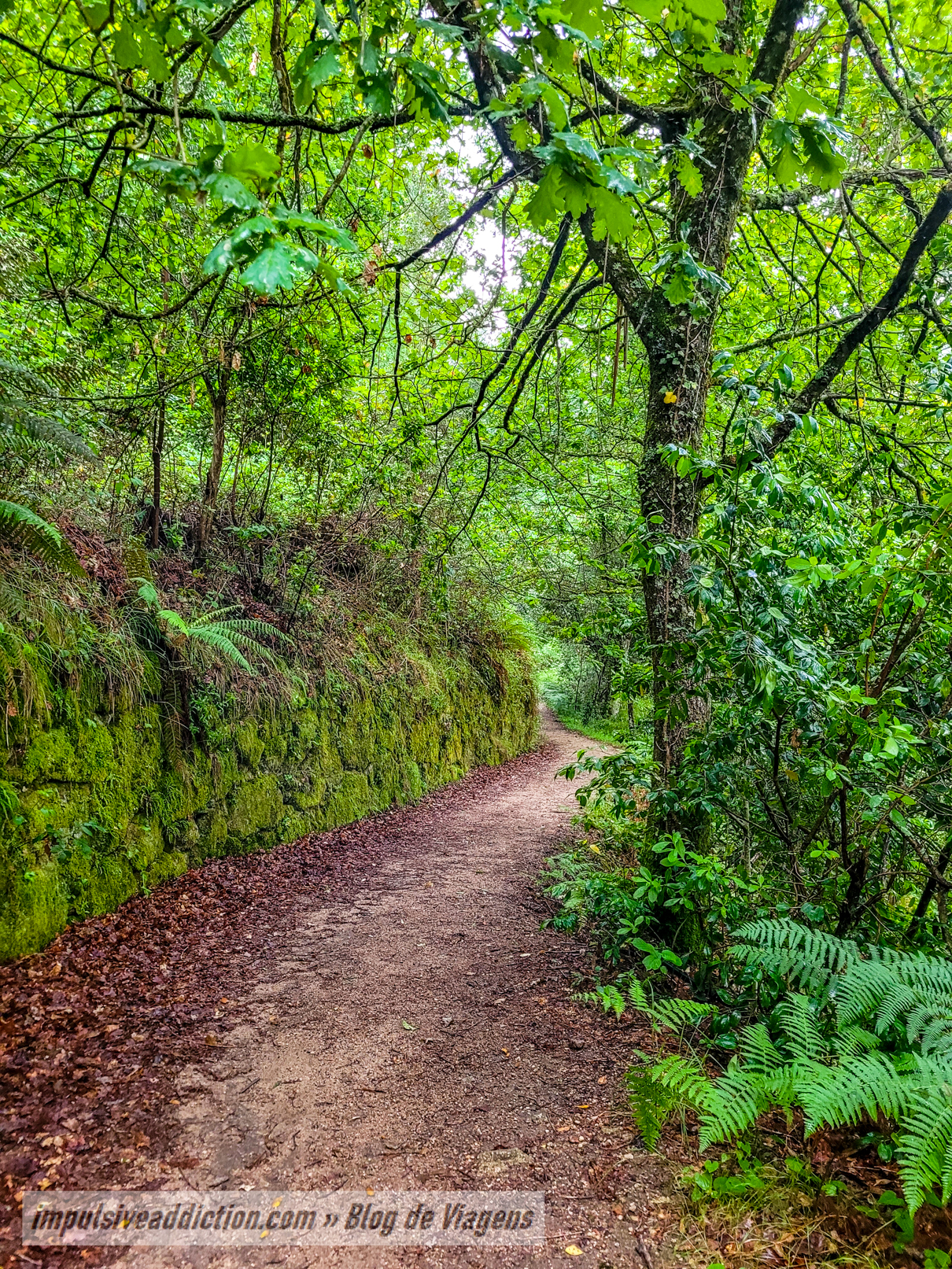 Caminhos do Trilho da Cascata da Rajada