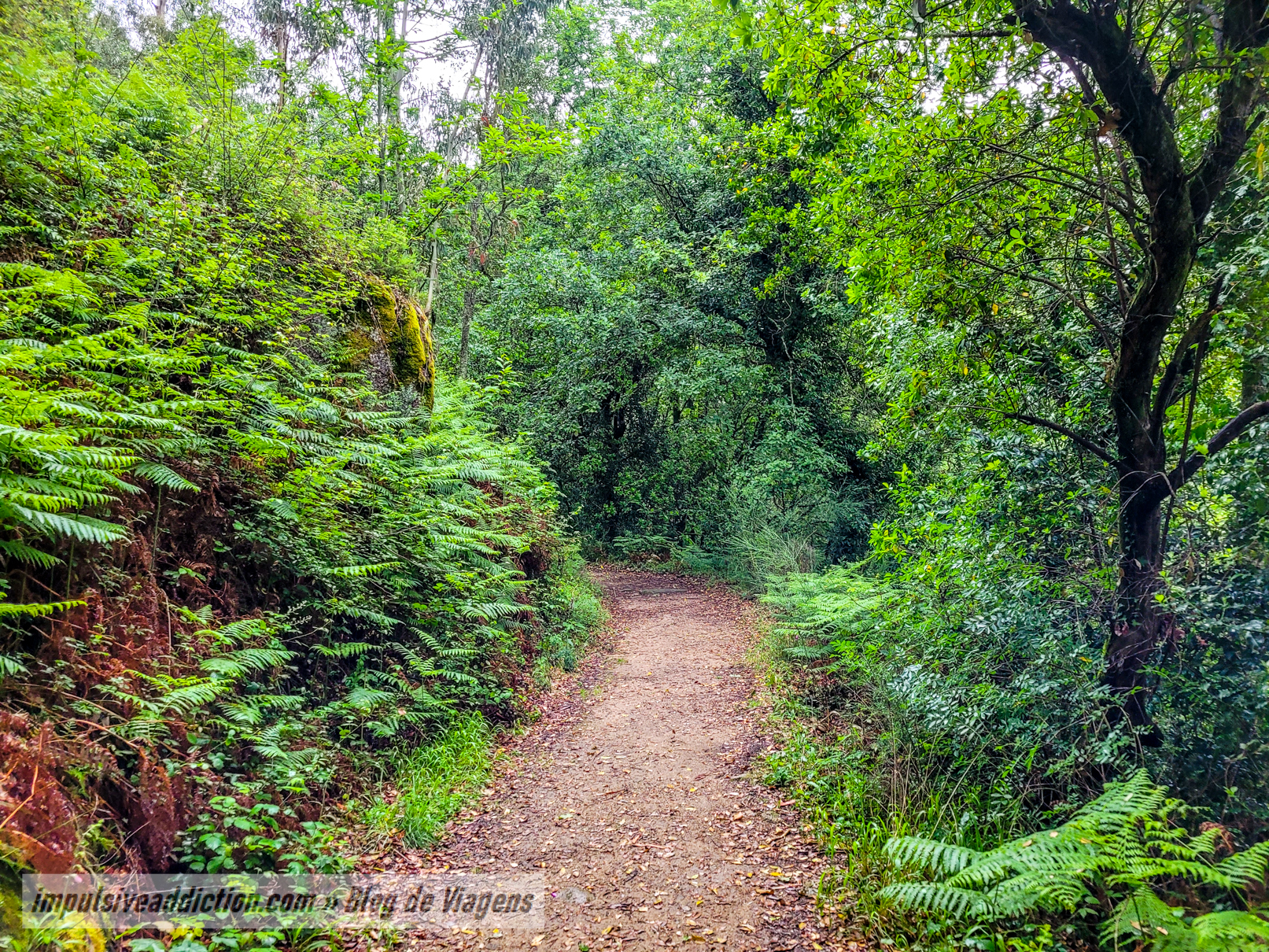 Caminhos do Trilho da Cascata da Rajada