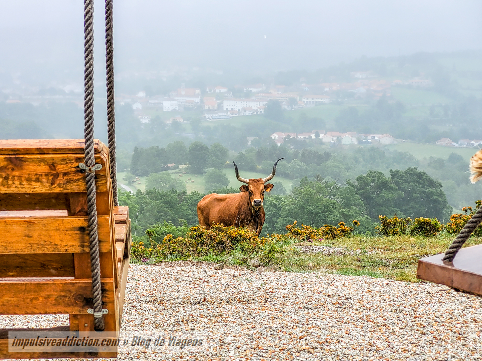 Animais junto do Baloiço das Serras em Salto | Montalegre
