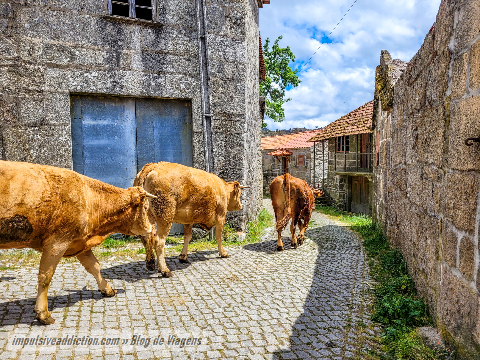 Aldeia de Cervos ao visitar Montalegre