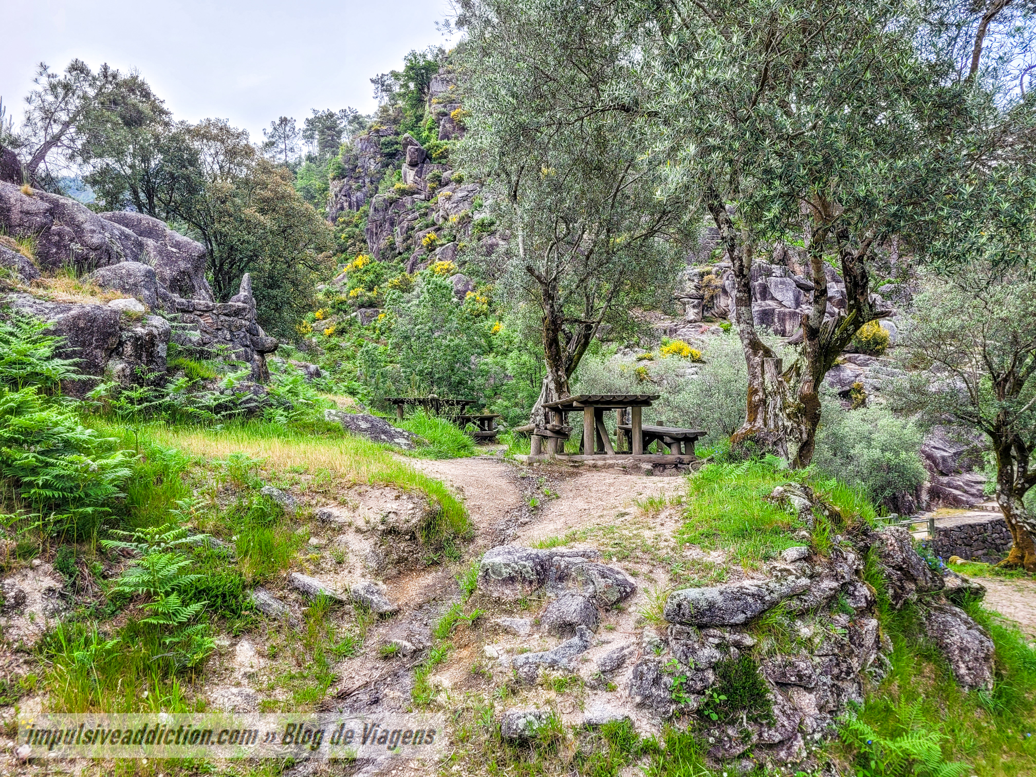 Parque de Merendas da Ponte da Pigarreira