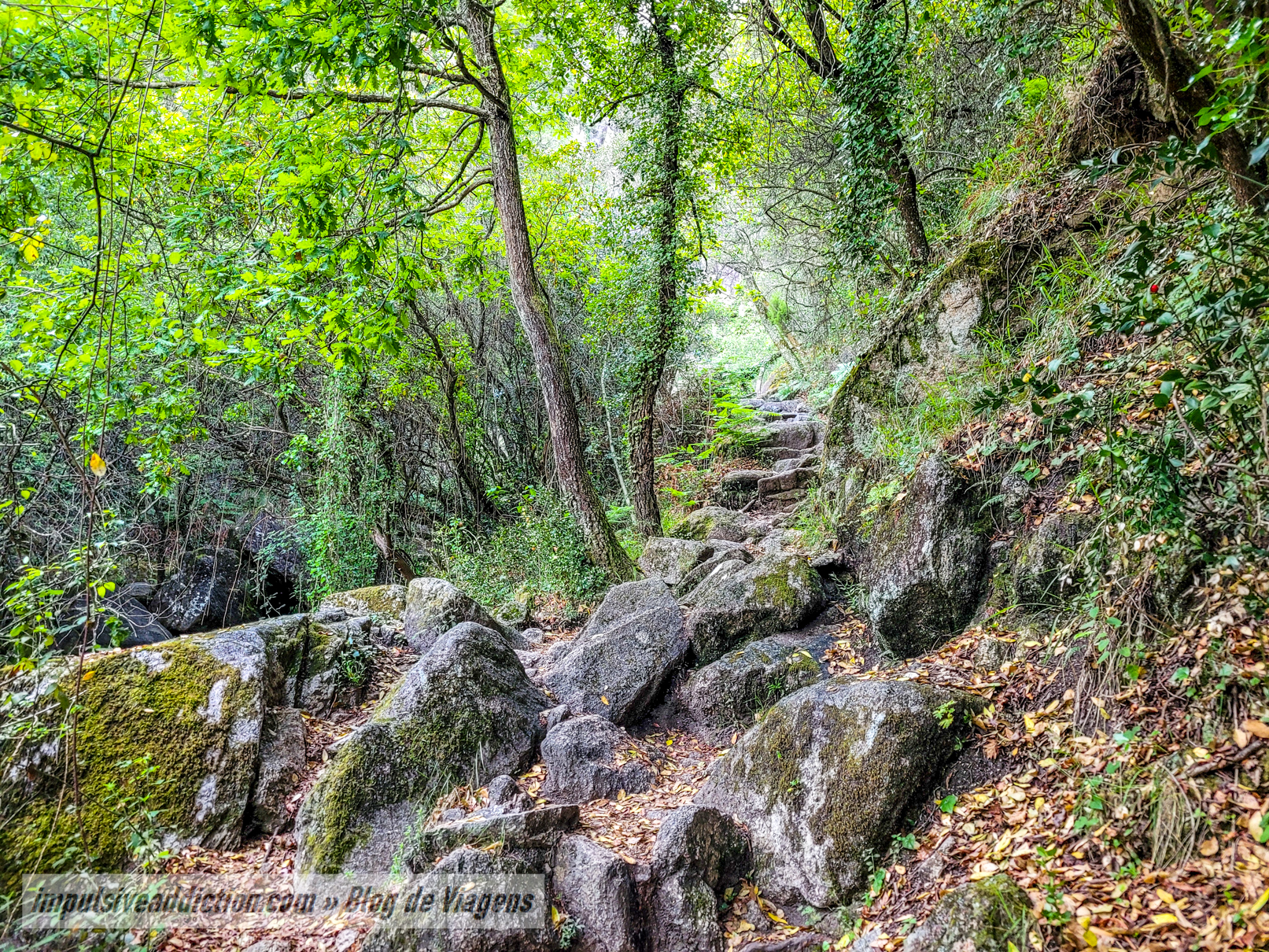 Trilho da Cascata de Pincães