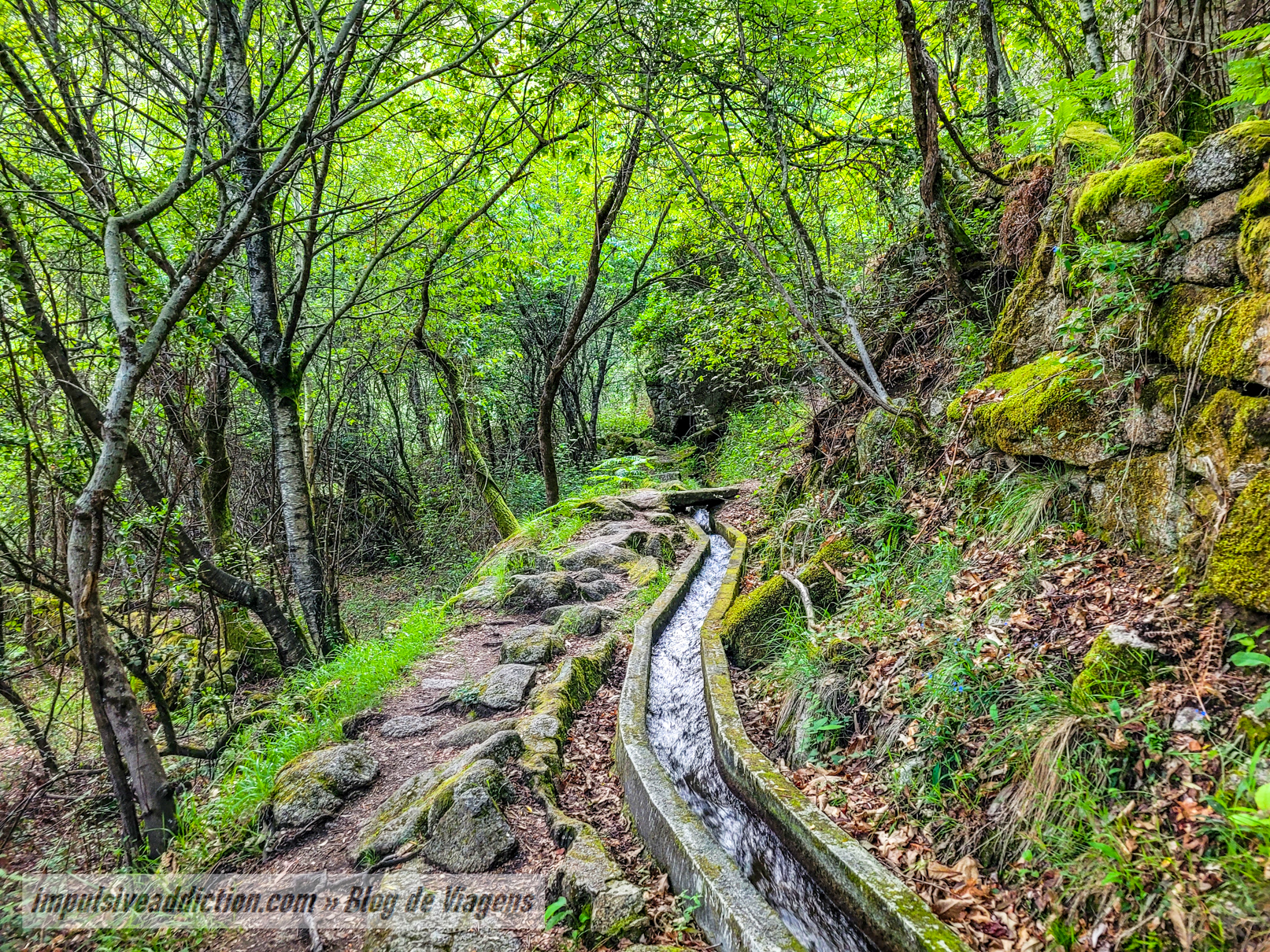 Levada do Trilho da Cascata de Pincães