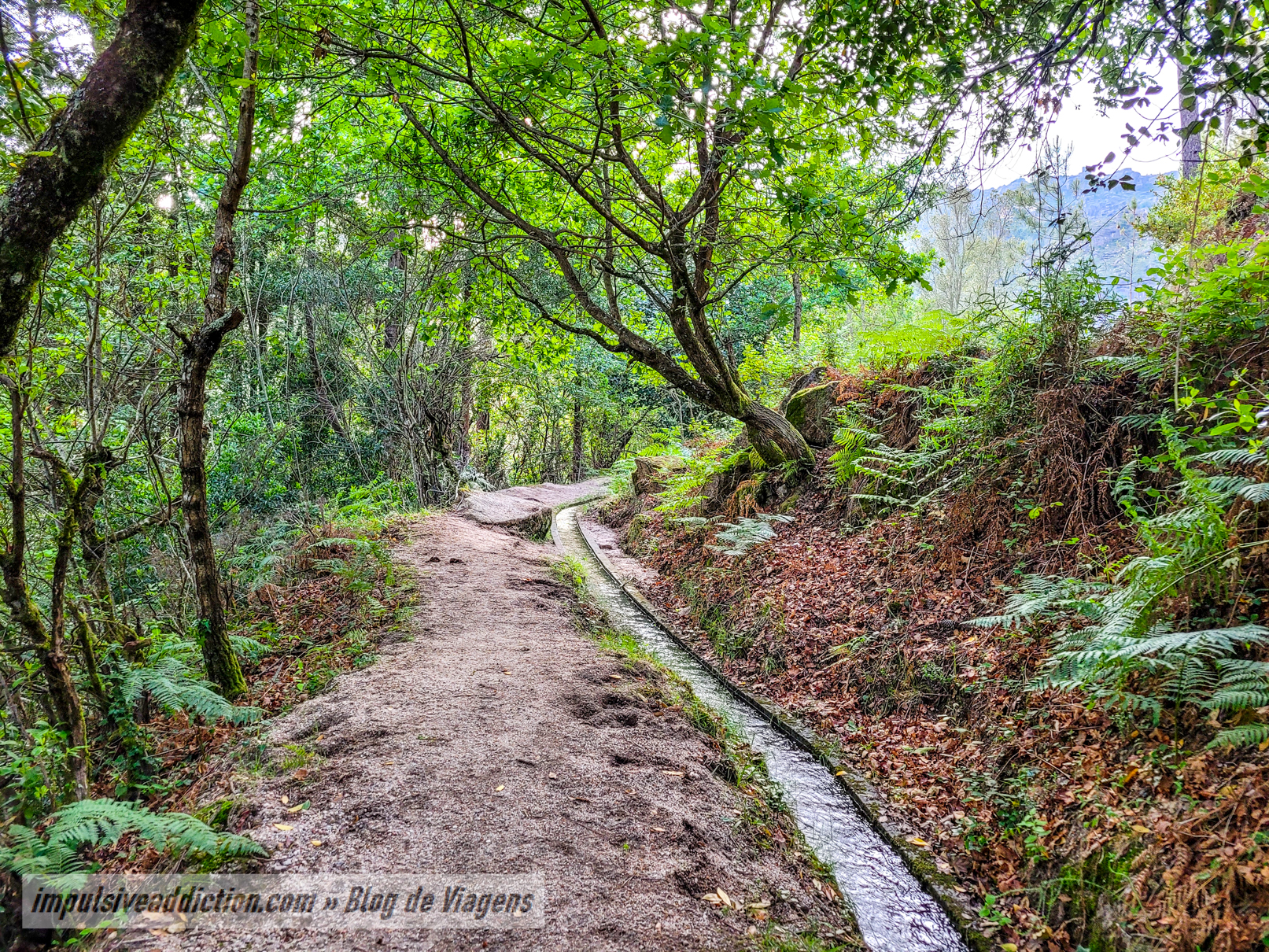 Levada do Trilho da Cascata de Pincães