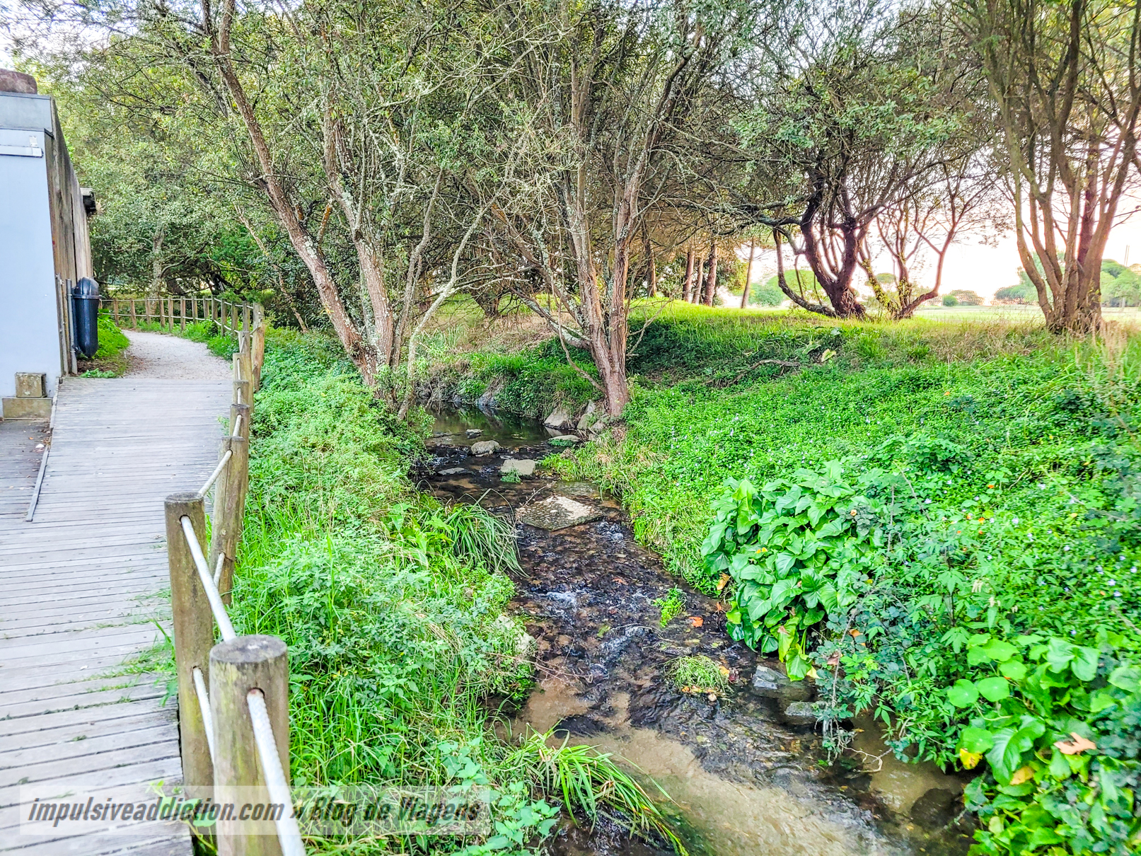 Ribeira do Espírito Santo junto do CEAR de Gaia