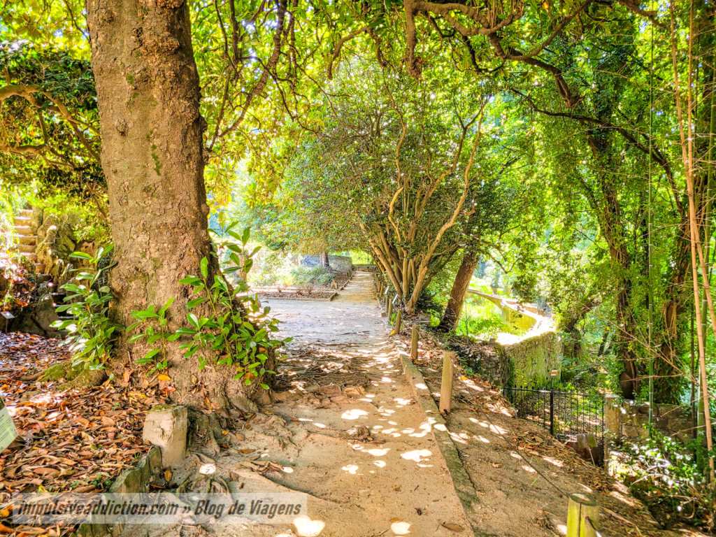 Camelia Garden in Gaia