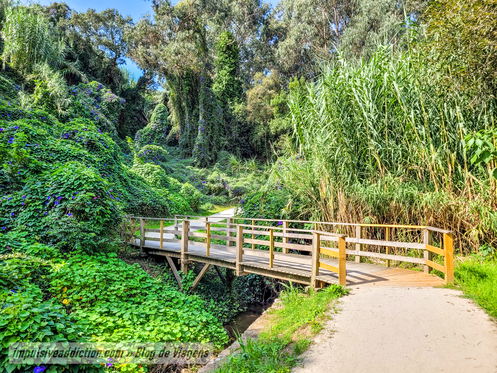 Jardim e Parque de Santa Maria Adelaide