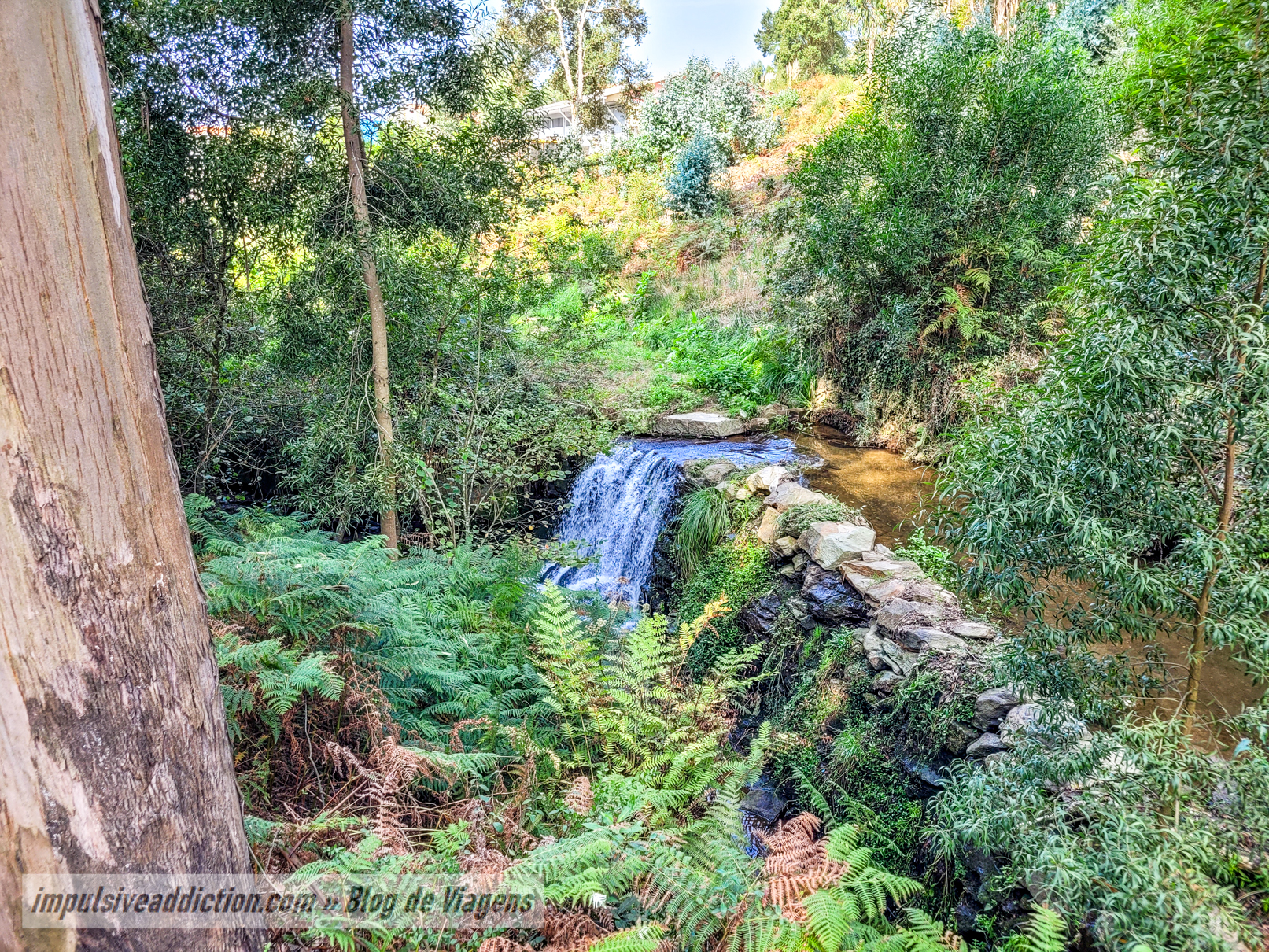 Quedas de Água na Ribeira do Espírito Santo