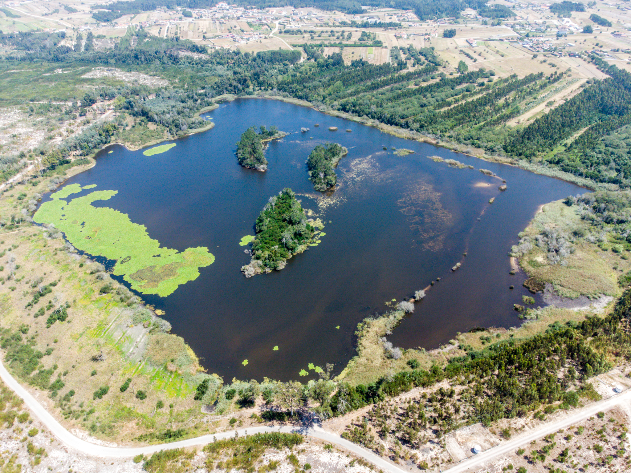 Lagoa das Braças