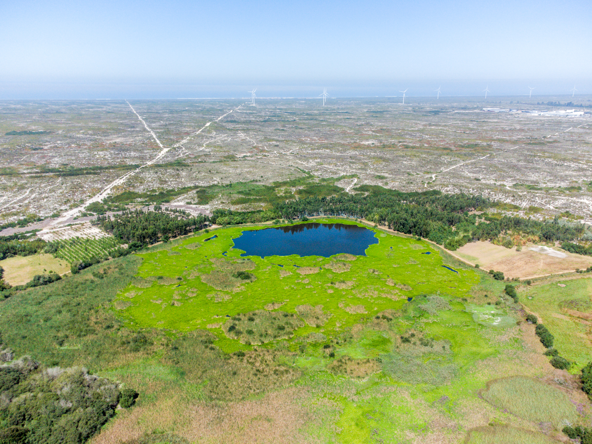 Lagoa Salgueira
