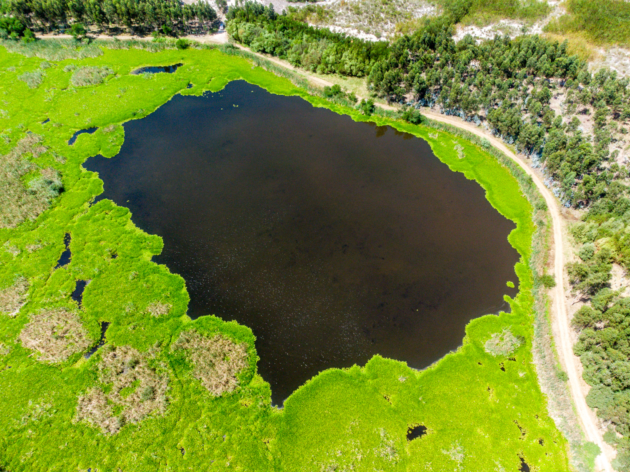 Lagoa Salgueira