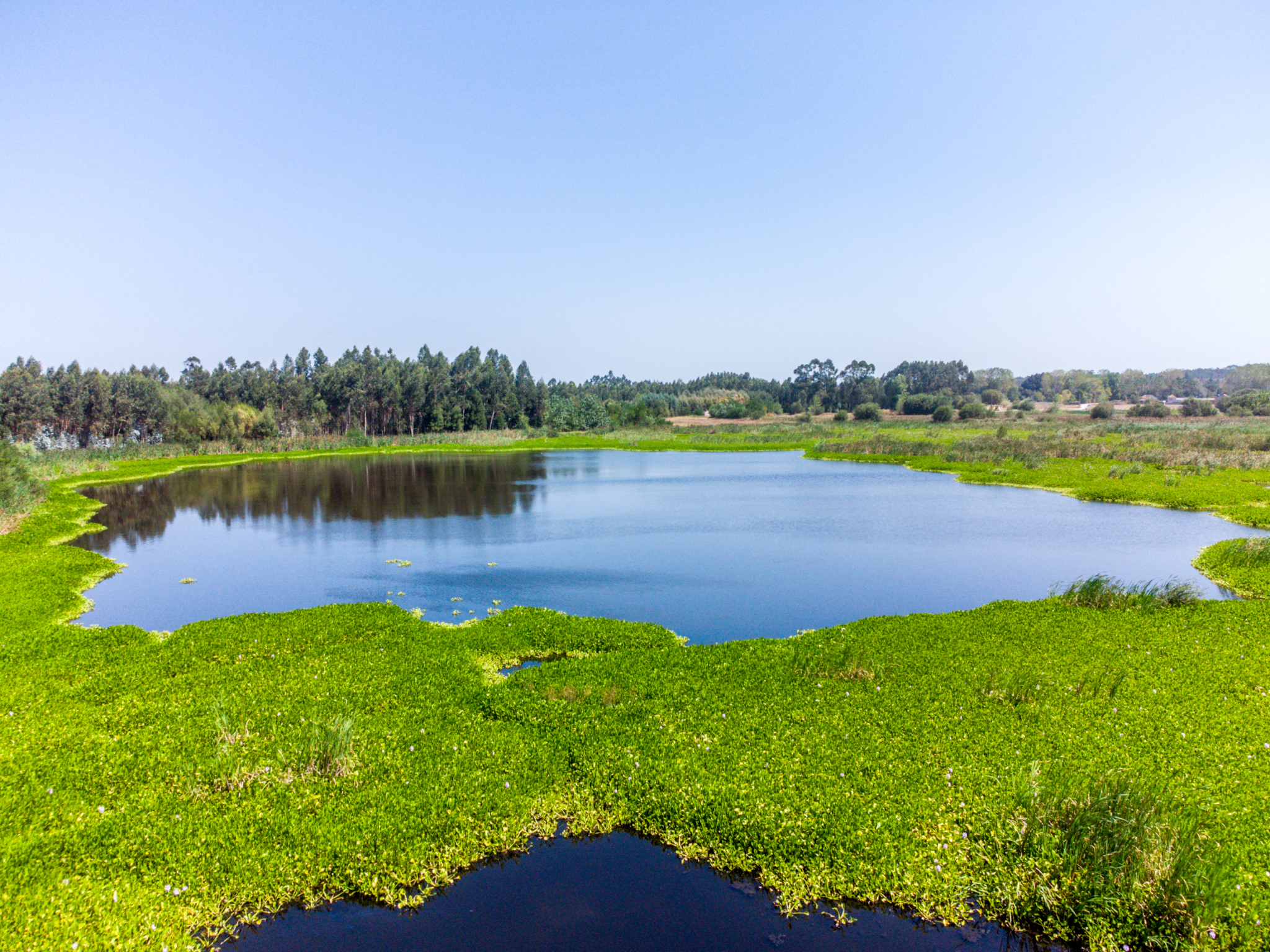 Lagoa Salgueira