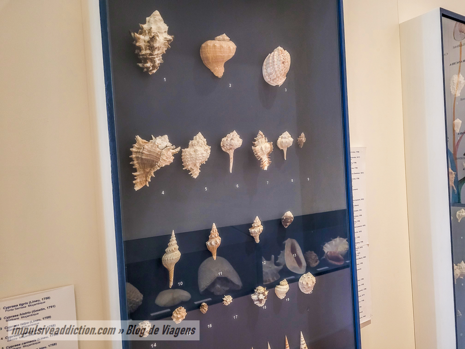 Núcleo Museológico do Mar ao visitar Buarcos