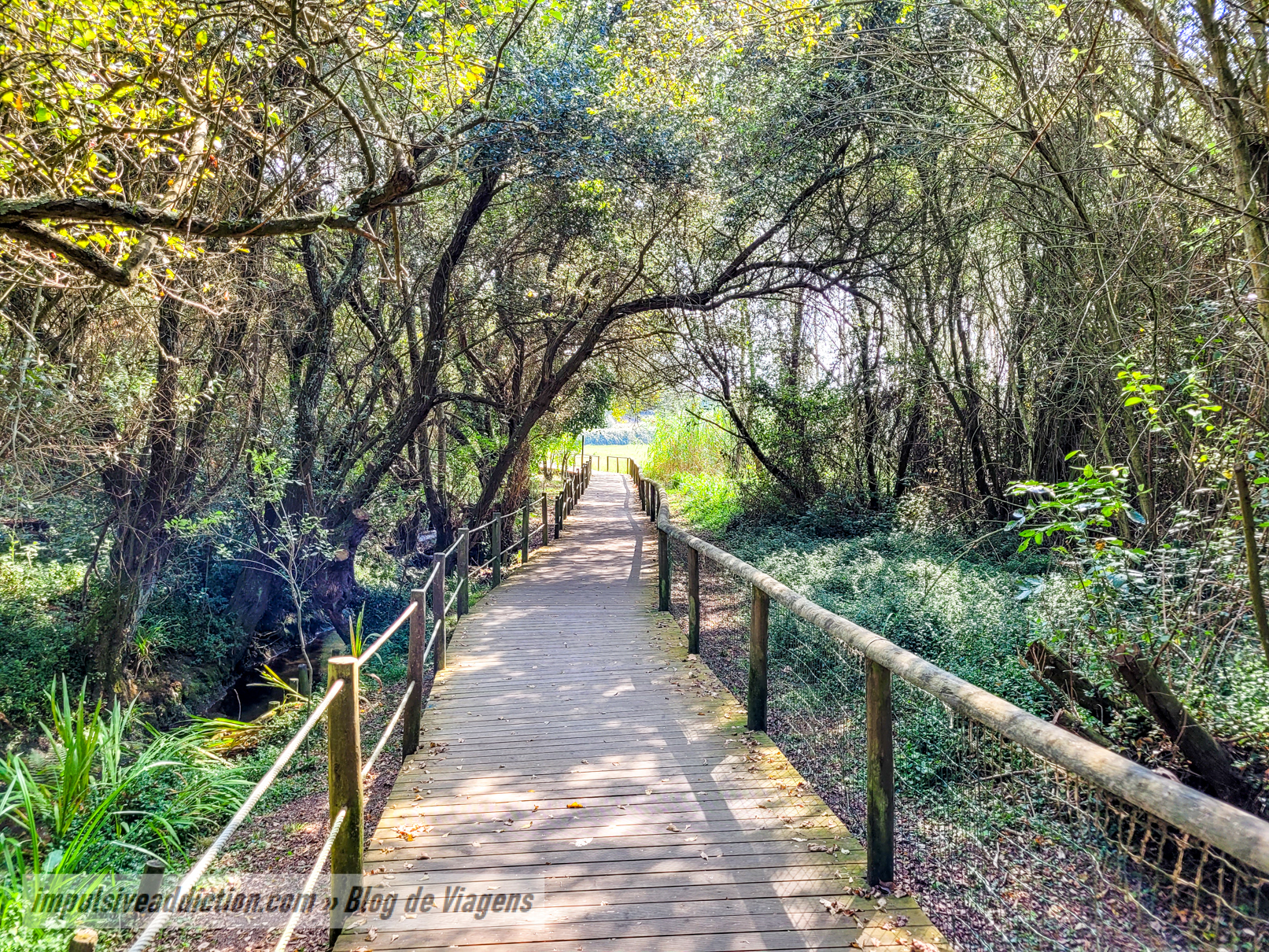 Passadiços de Arcozelo e Rota da Ribeira do Espírito Santo