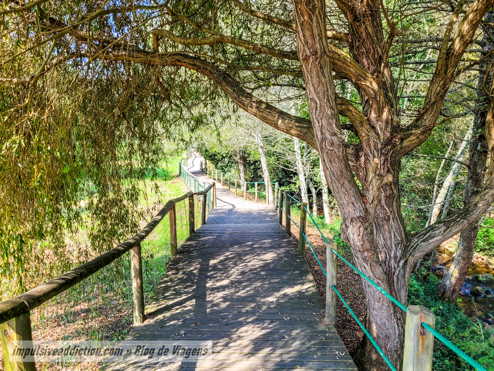 Passadiços de Arcozelo e Rota da Ribeira do Espírito Santo