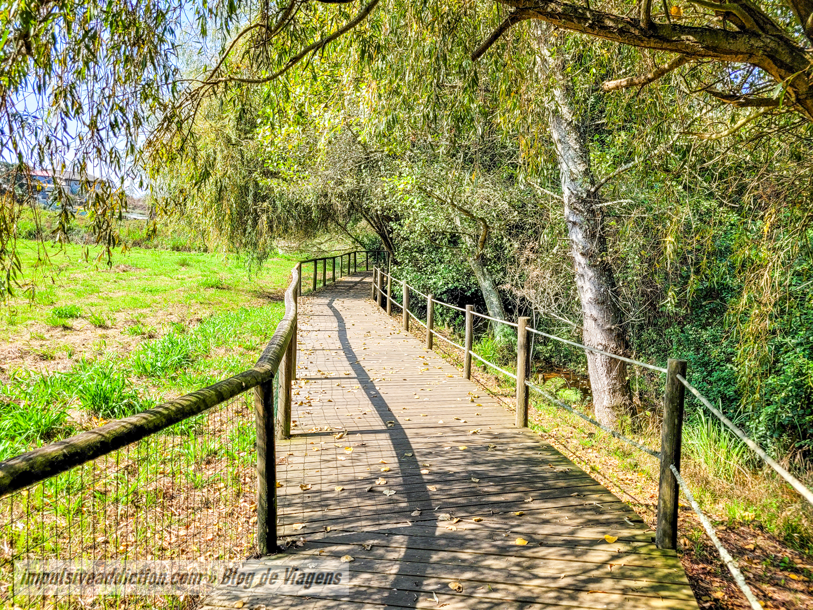 Passadiços de Arcozelo e Rota da Ribeira do Espírito Santo