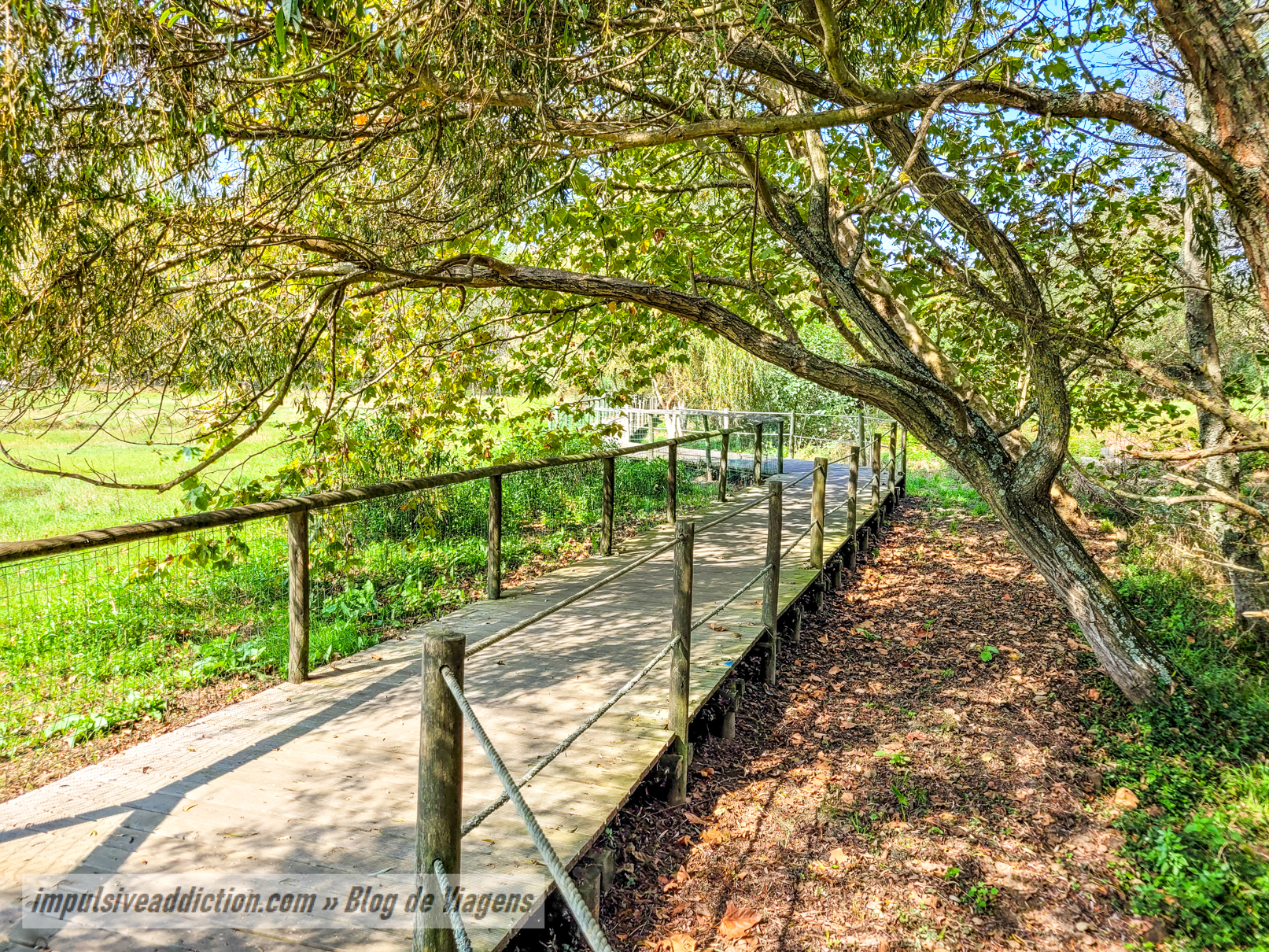 Passadiços de Arcozelo e Rota da Ribeira do Espírito Santo