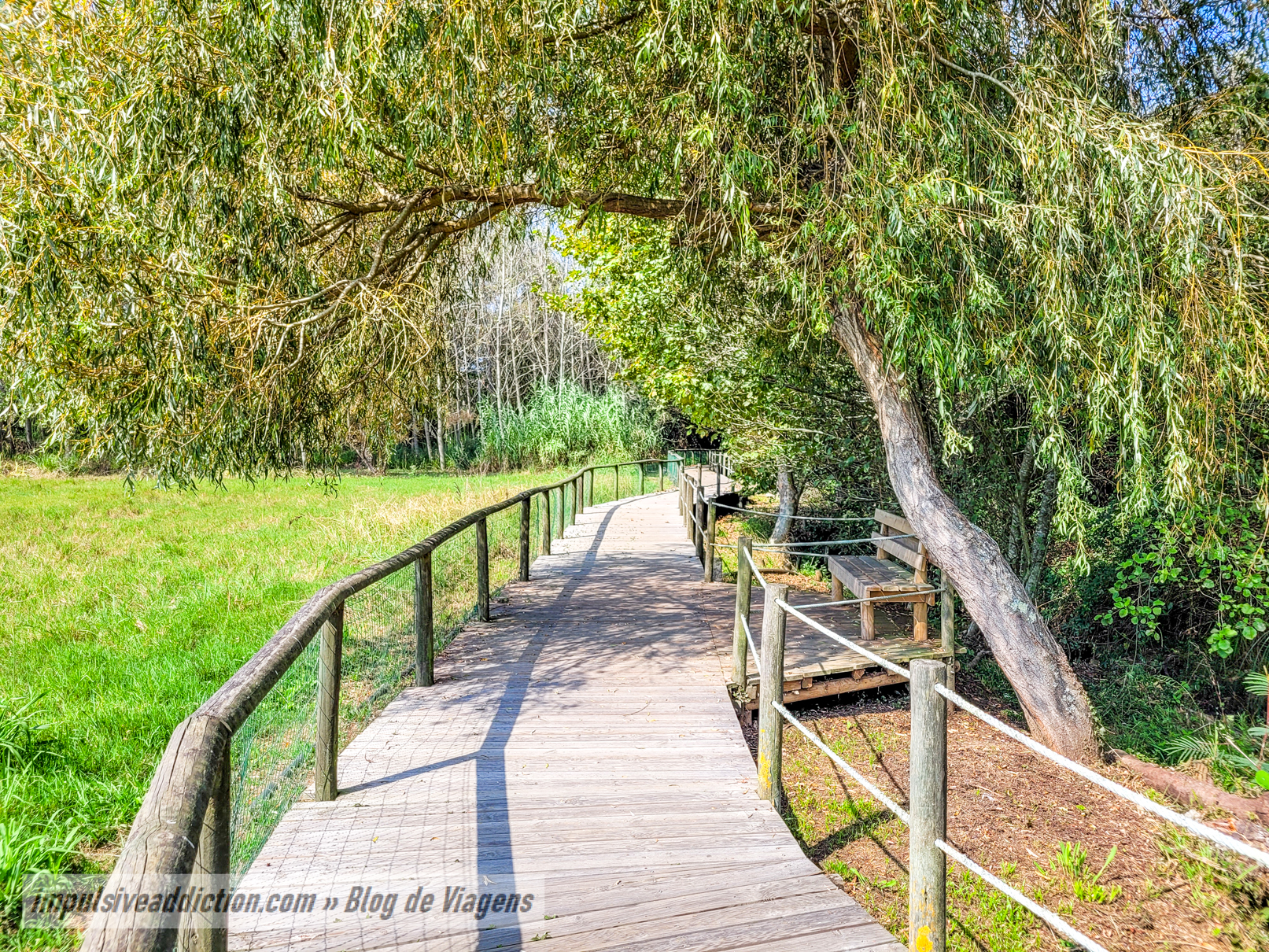 Passadiços de Arcozelo e Rota da Ribeira do Espírito Santo
