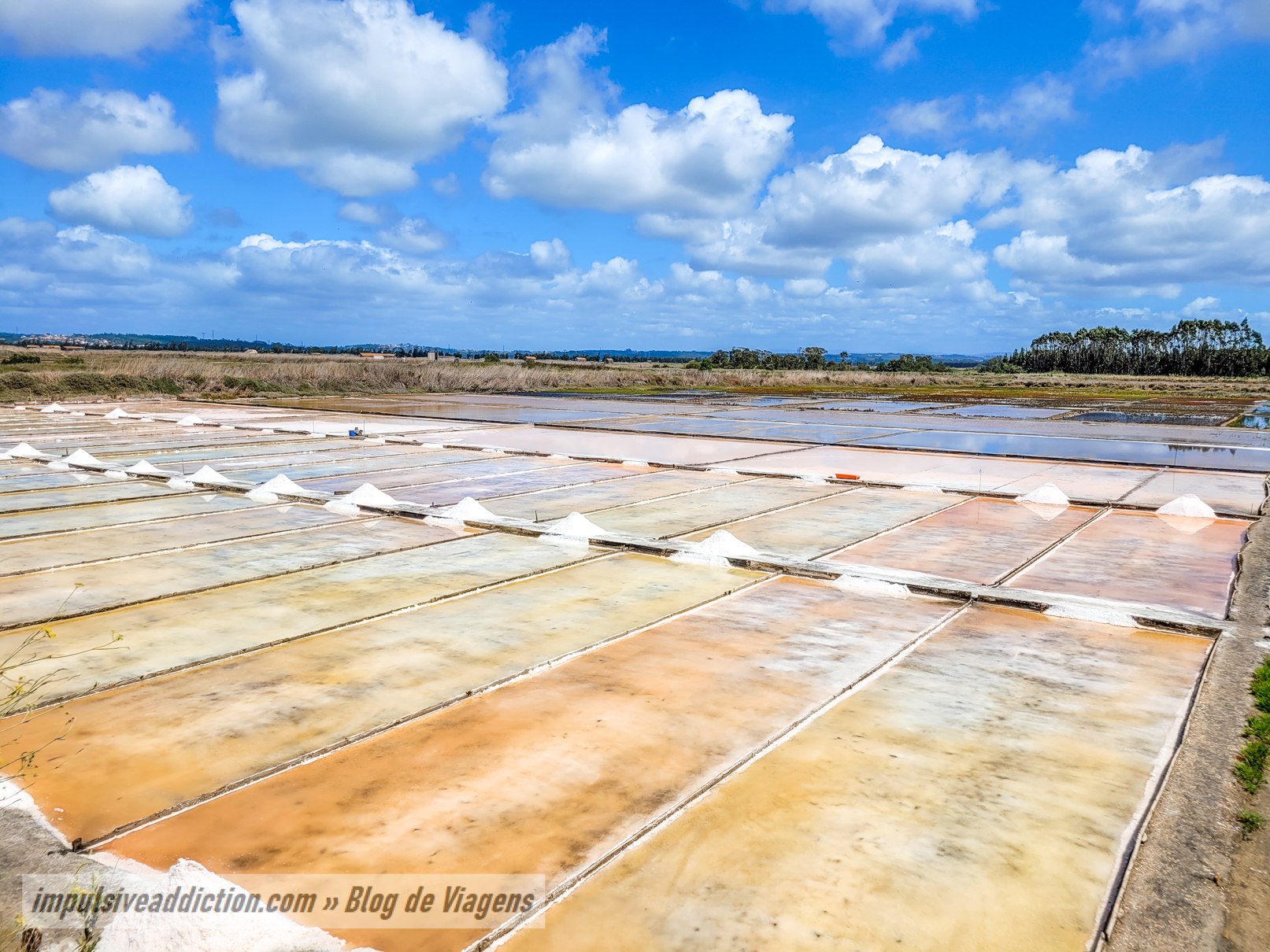 Rota das Salinas da Figueira da Foz