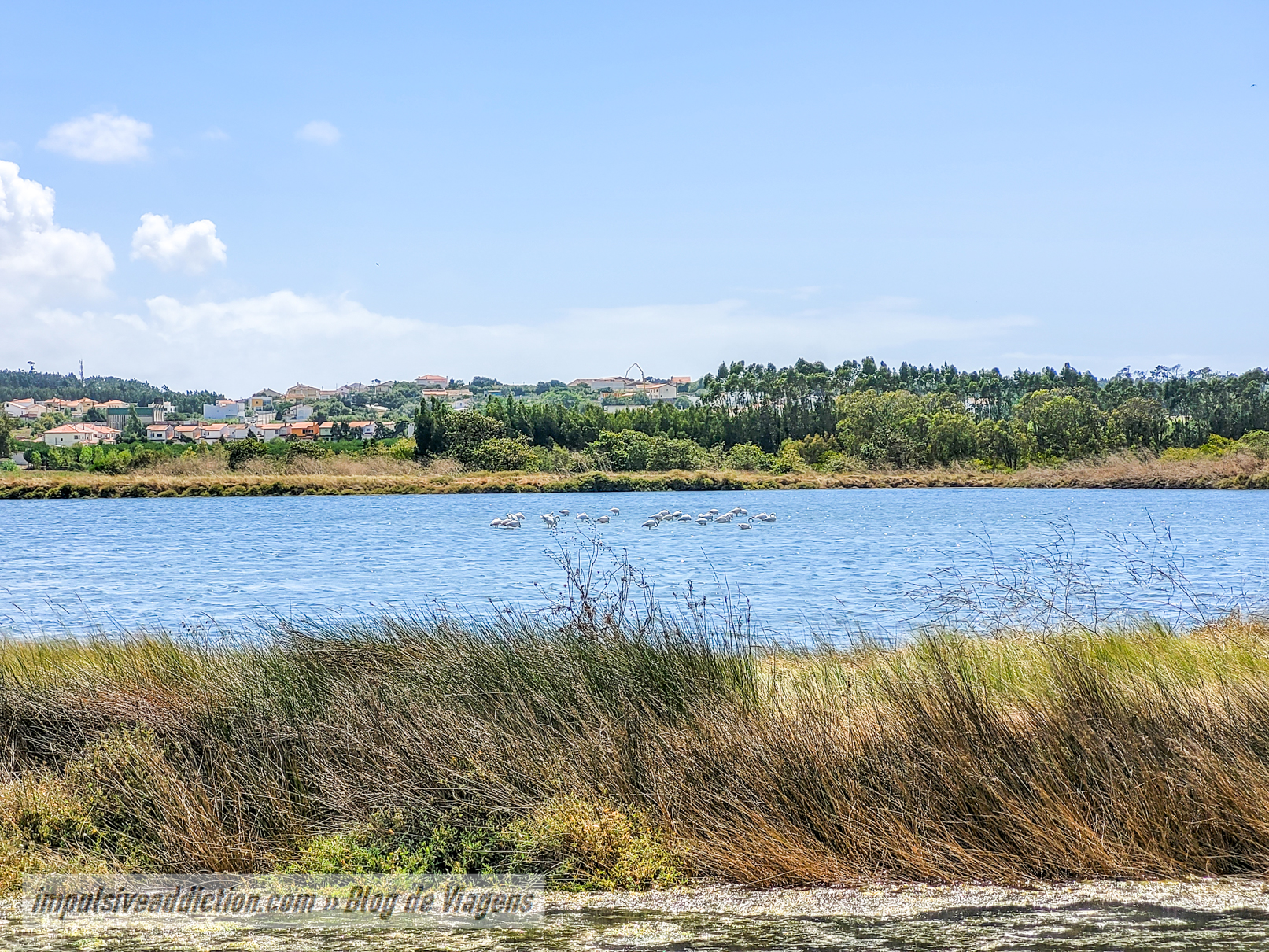 Rota das Salinas da Figueira da Foz