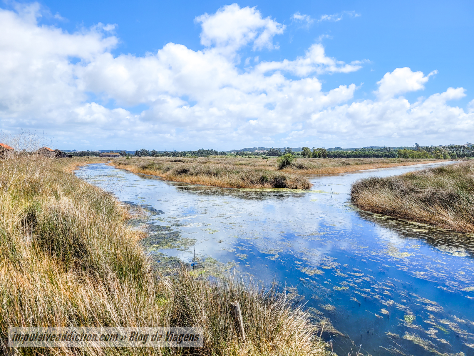 Rota das Salinas da Figueira da Foz