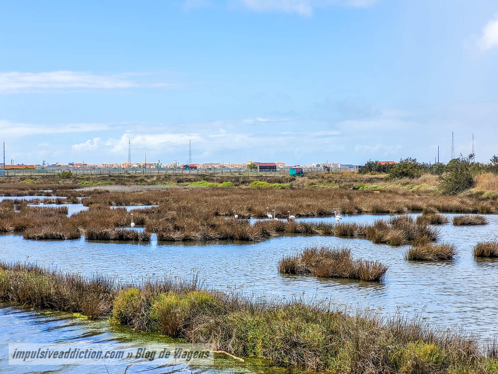 Rota das Salinas da Figueira da Foz