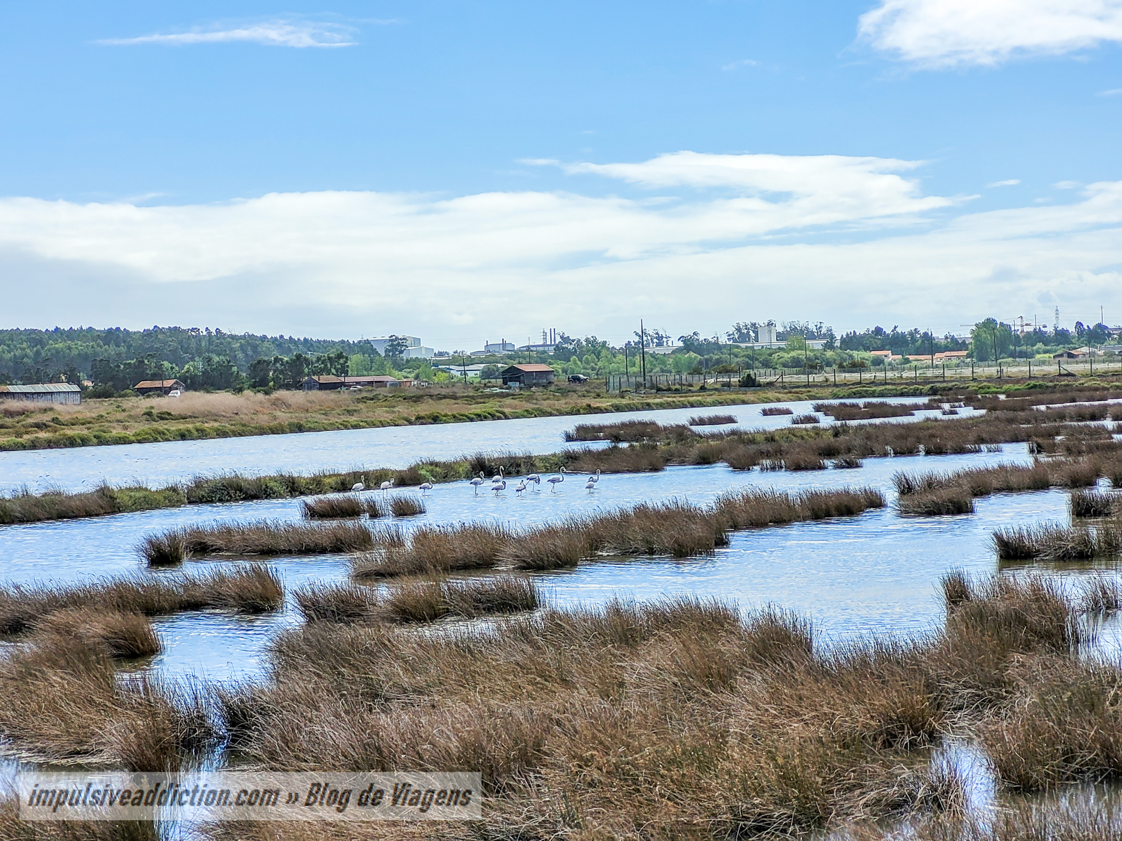 Rota das Salinas da Figueira da Foz