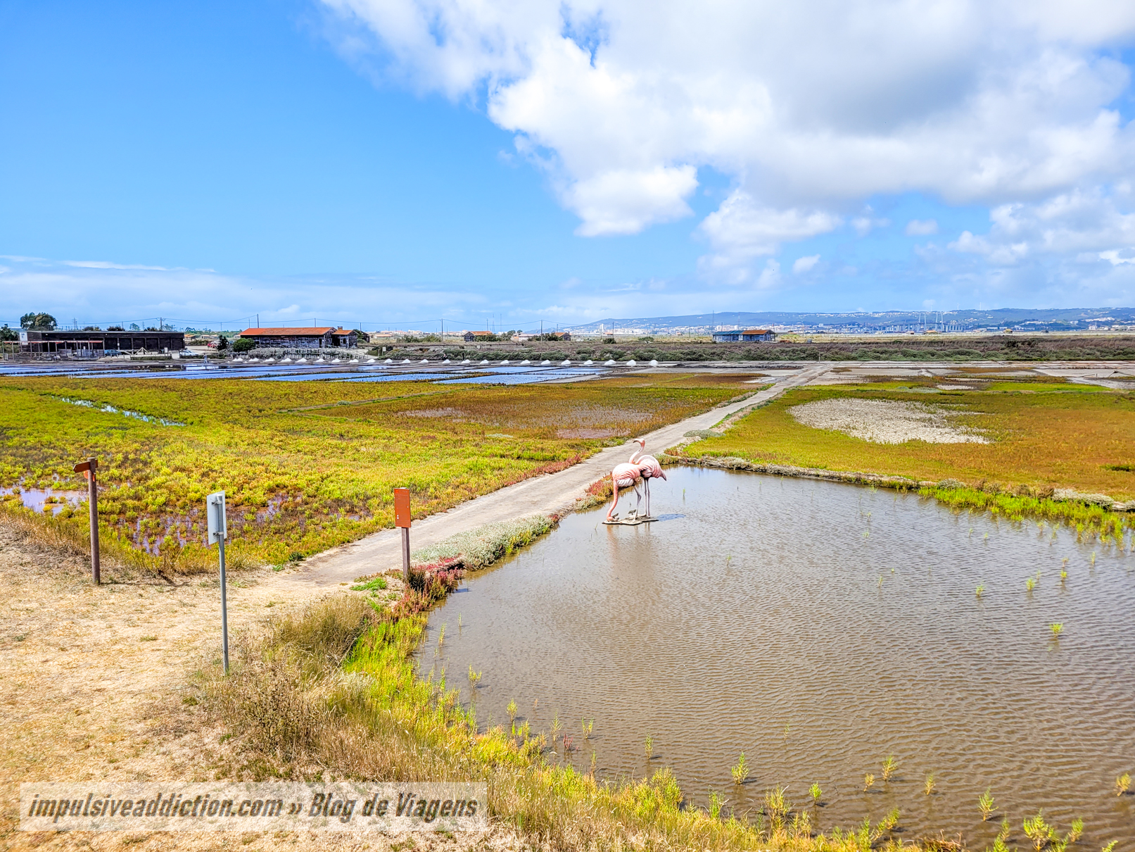 Rota das Salinas da Figueira da Foz