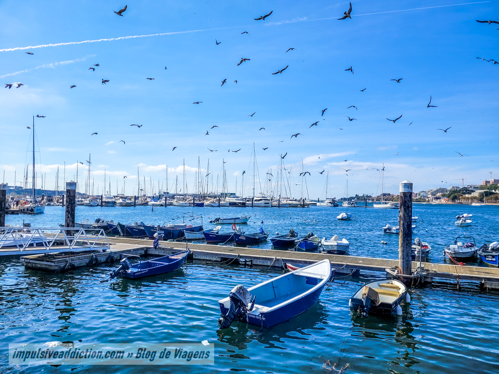 Douro Marina em Vila Nova de Gaia
