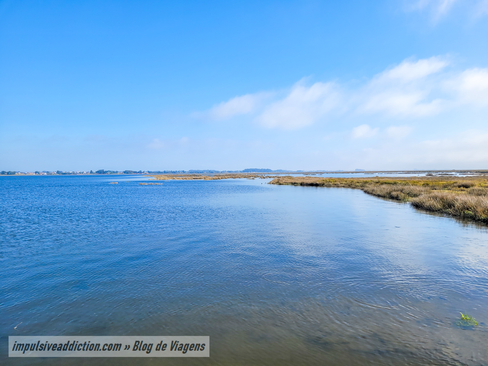 Ria de Aveiro junto do Cais da Tijosa