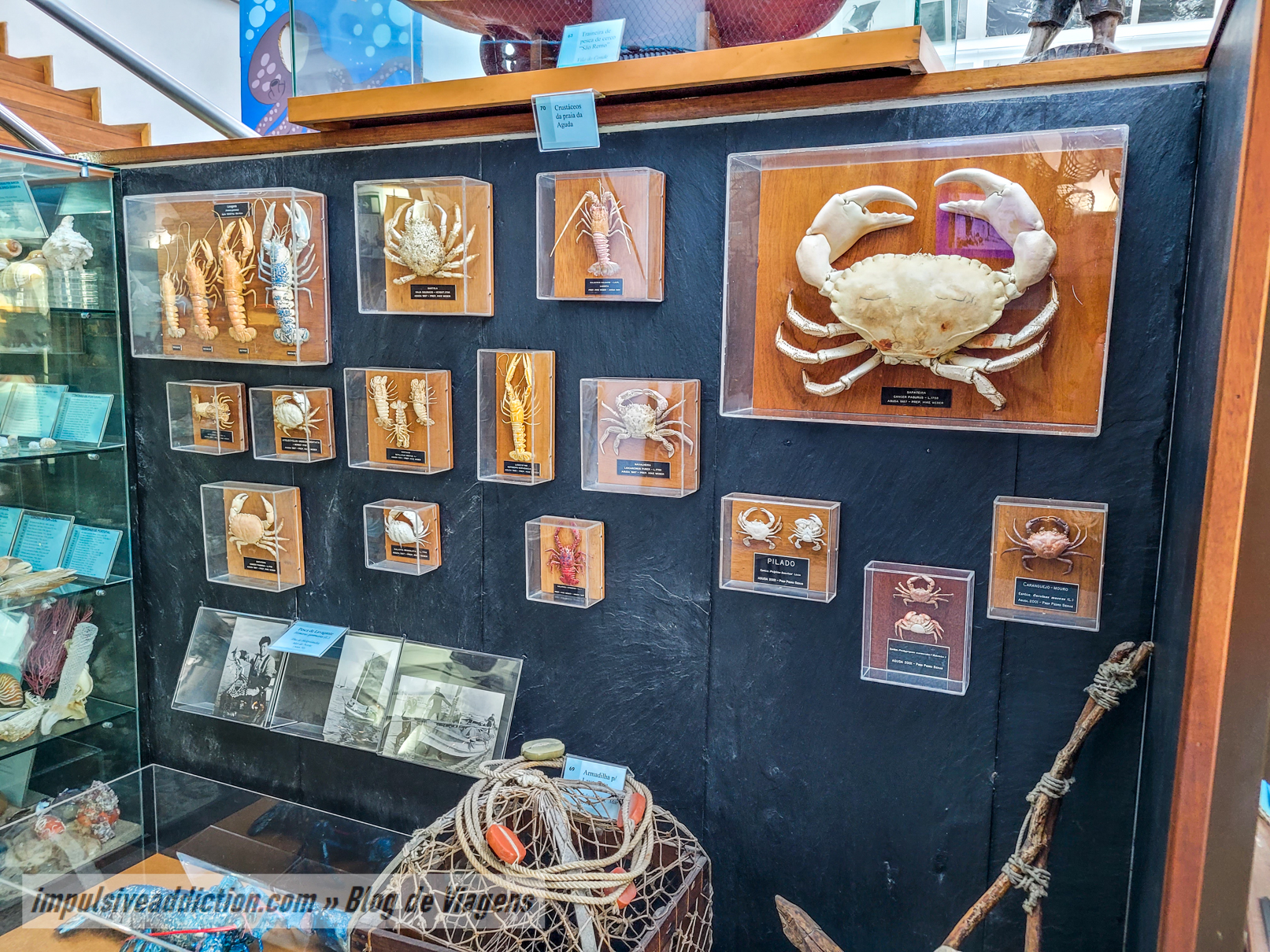 Museu da Pesca da Estação Litoral da Aguda