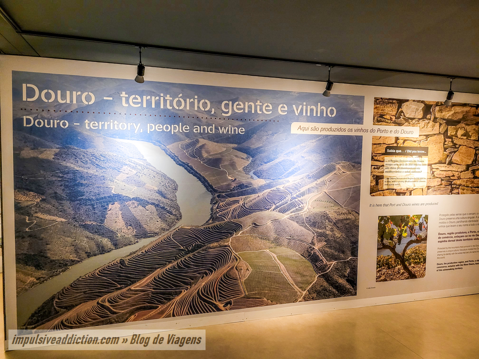 Museu do Instituto de Vinhos do Douro e Porto