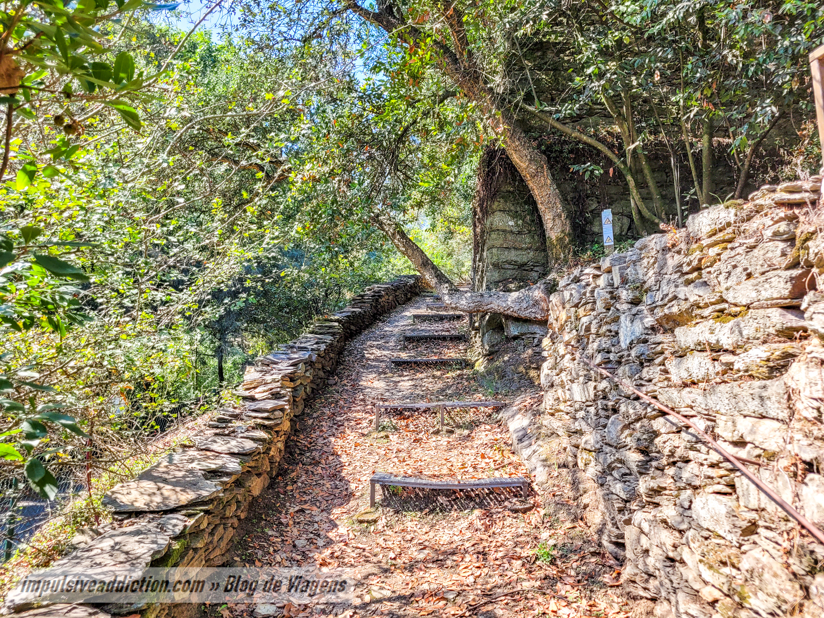 Jardim Botânico do Castelo