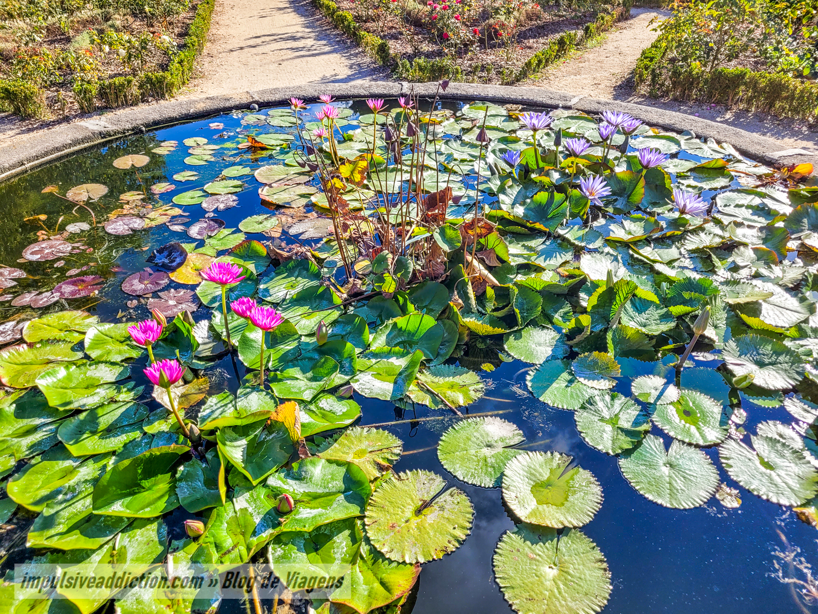 Porto Botanical Garden
