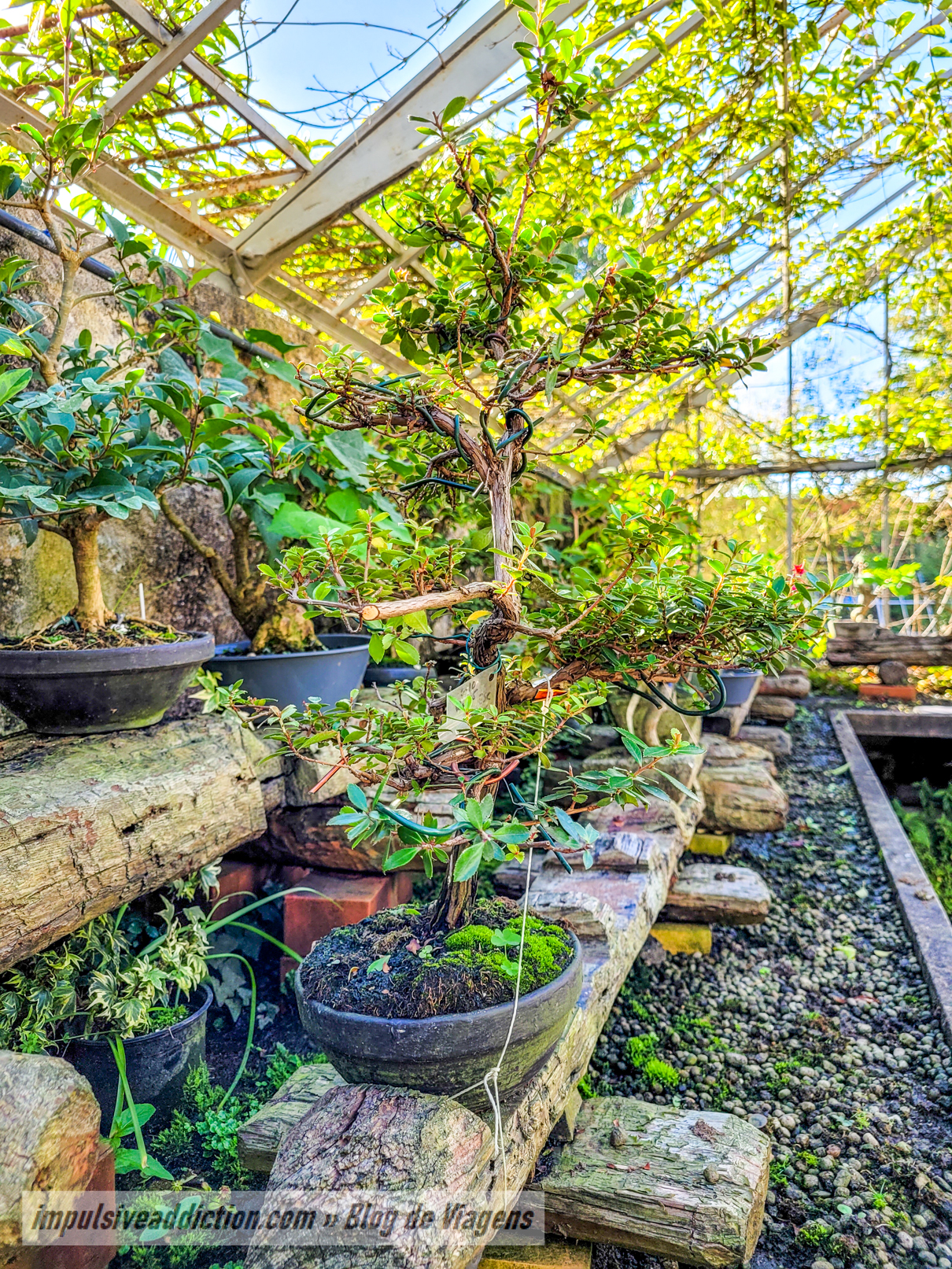 Porto Botanical Garden