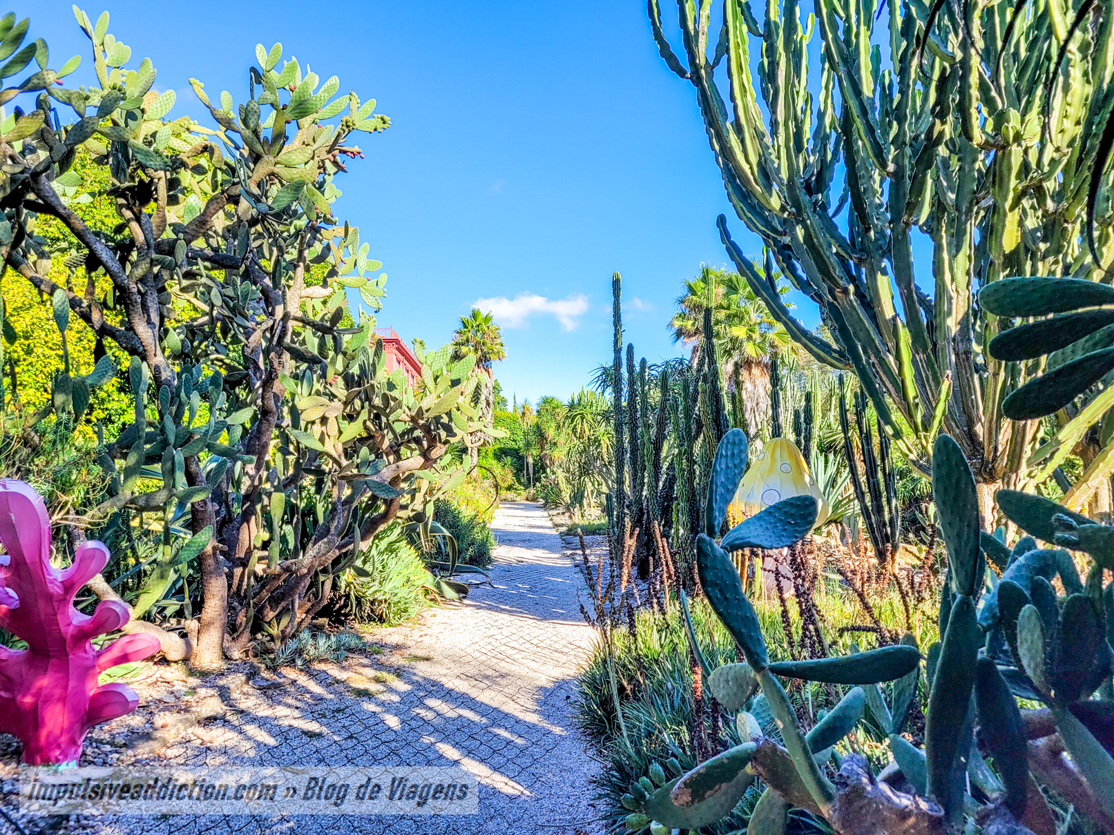 Porto Botanical Garden