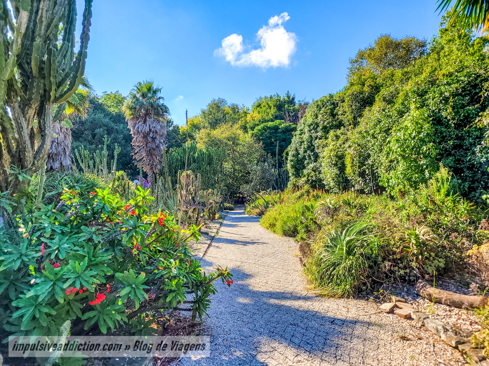 Porto Botanical Garden