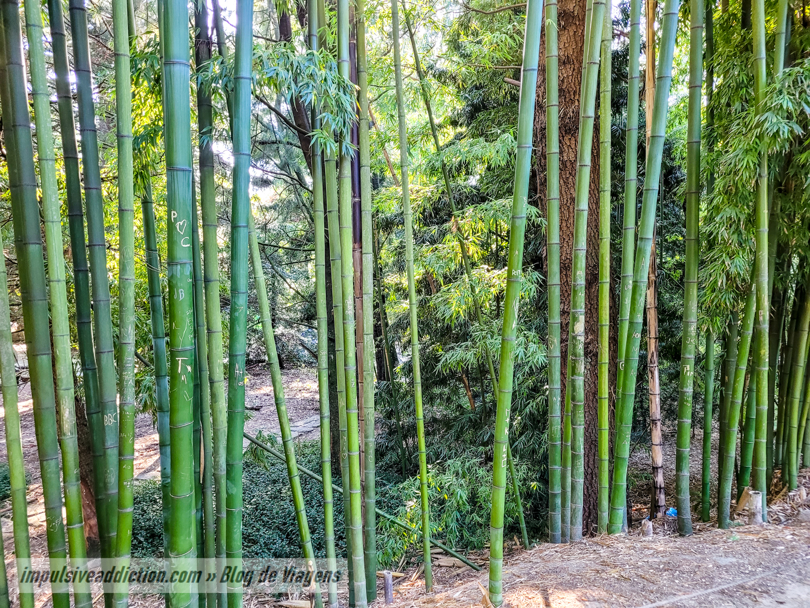 Porto Botanical Garden