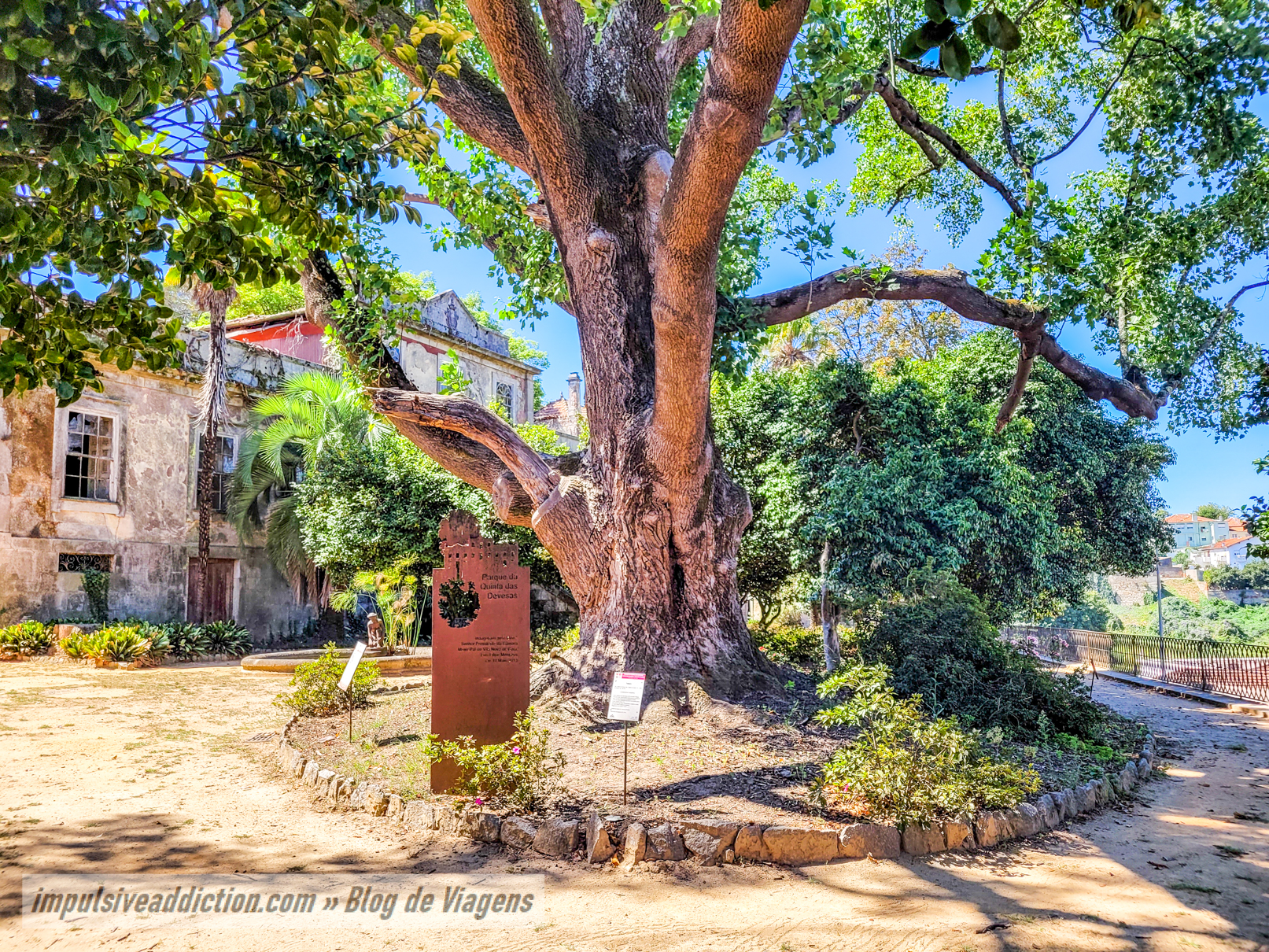 Camelia Garden in Gaia